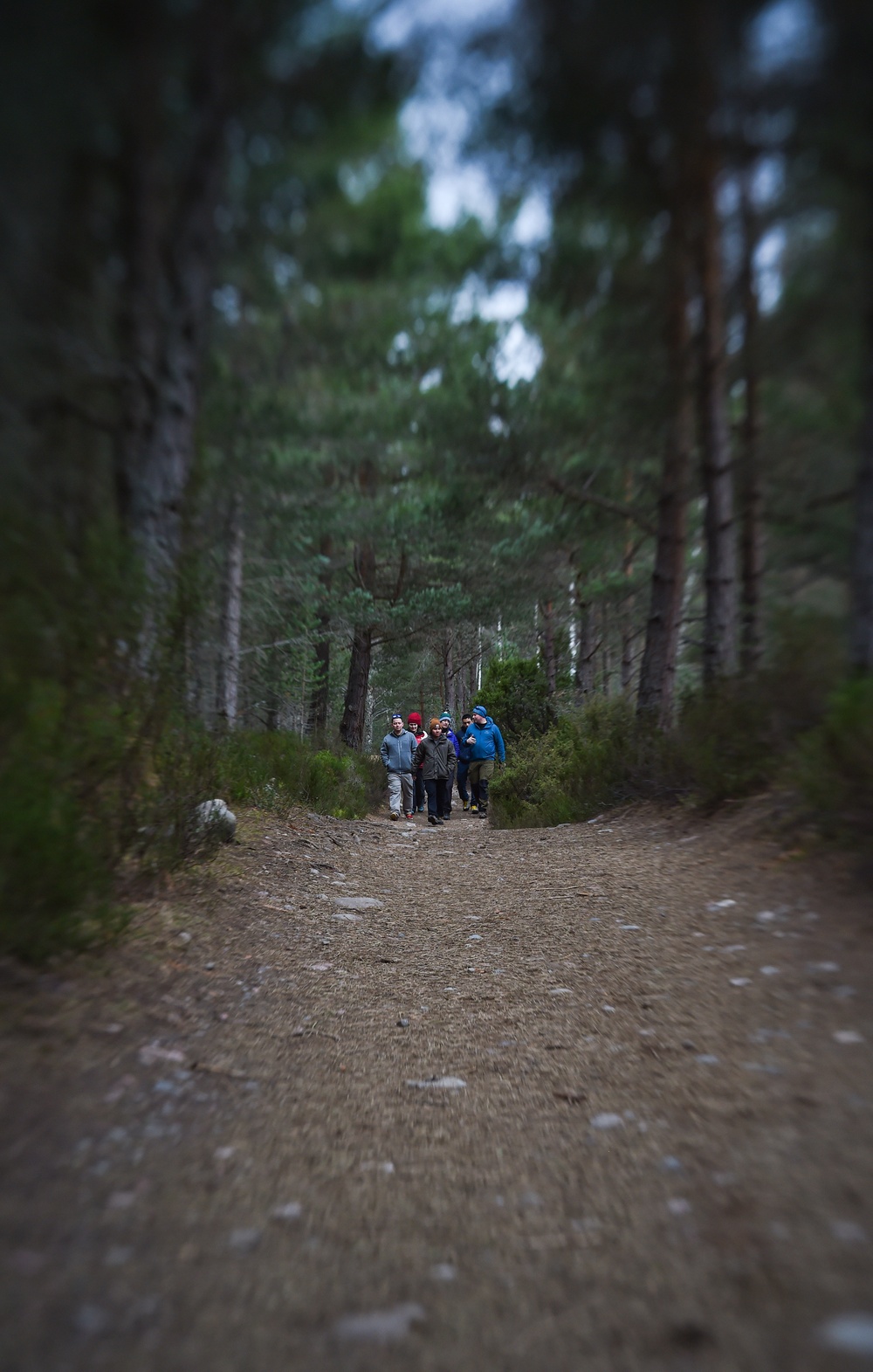 Find Your Adventure