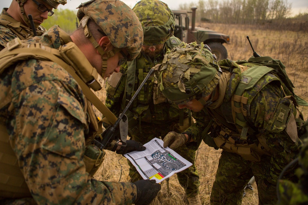 6th ANGLICO during exercise Maple Resolve 19