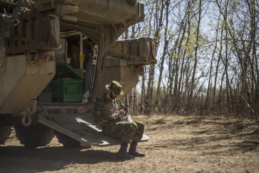 6th ANGLICO during exercise Maple Resolve 19