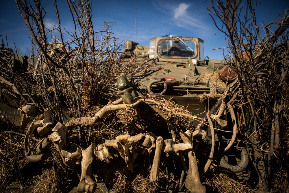 6th ANGLICO during exercise Maple Resolve 19