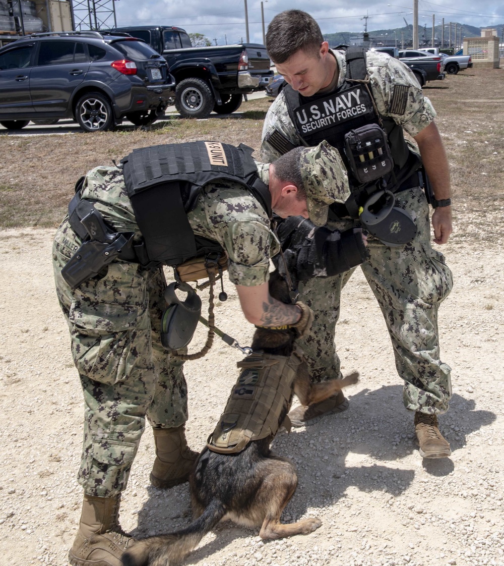 EODMU-5, U.S. Navy Security Forces Guam’s K-9 Unit Sailors conduct tactical maneuvering training