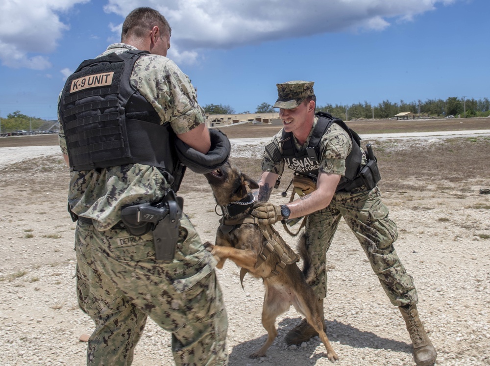 EODMU-5, U.S. Navy Security Forces Guam’s K-9 Unit Sailors conduct tactical maneuvering training