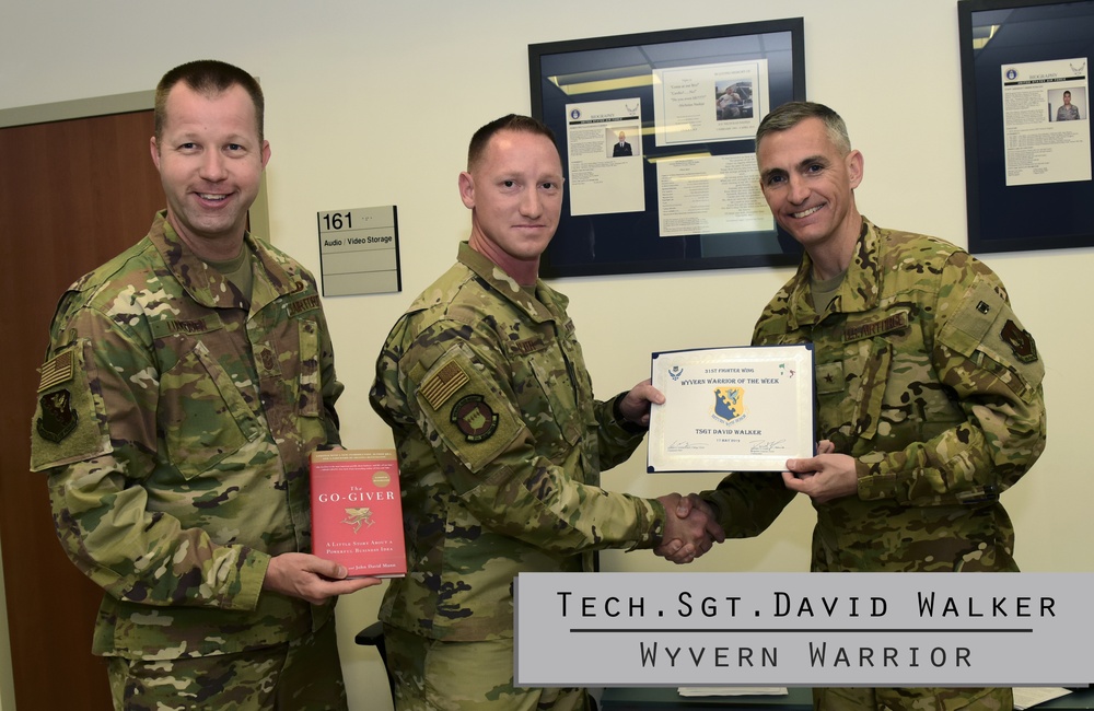 Wyvern Warrior- Tech. Sgt. David Walker