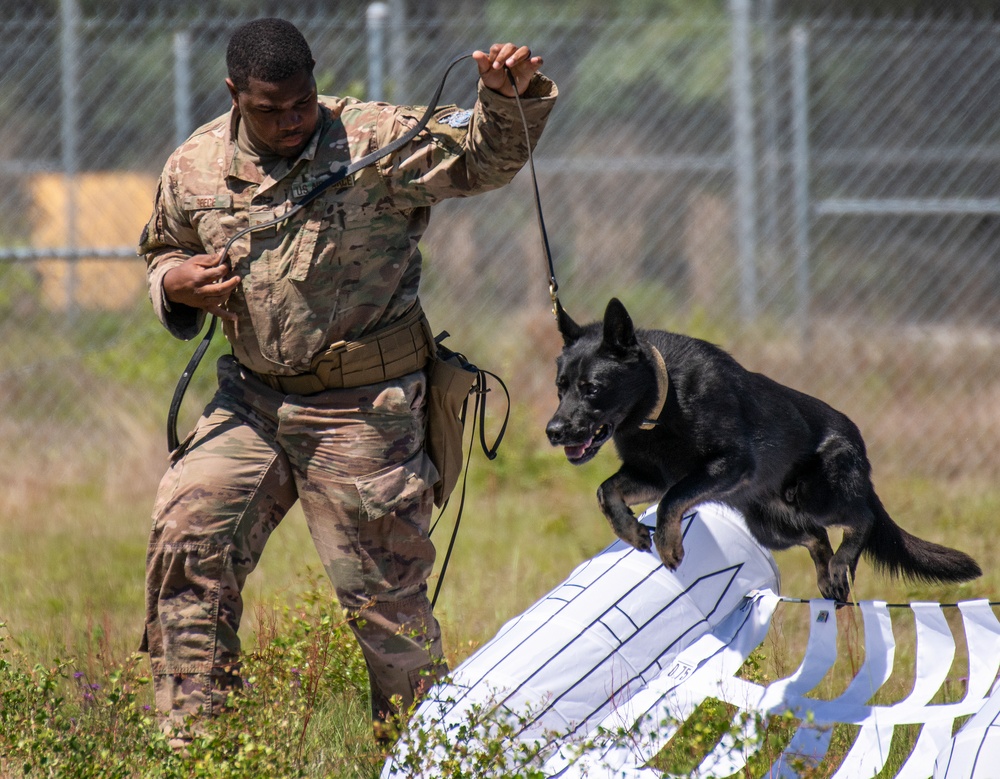 K-9 competition