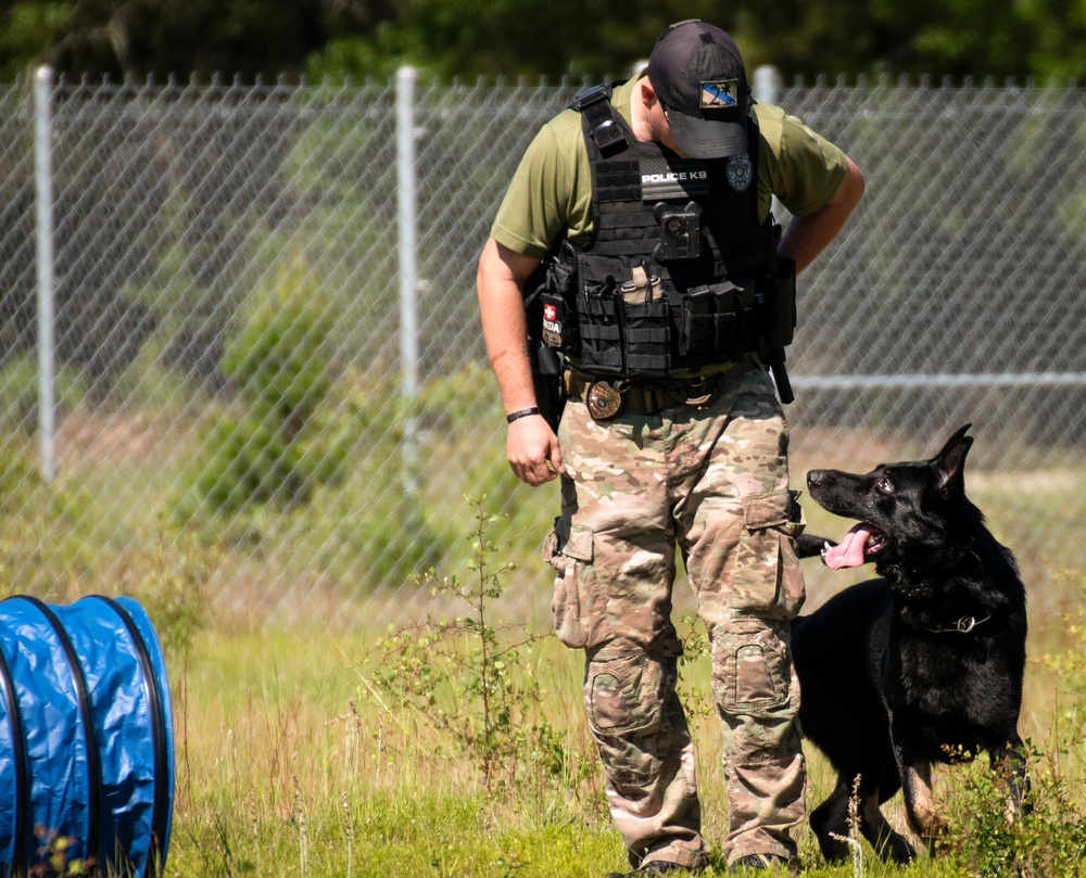 K-9 competition