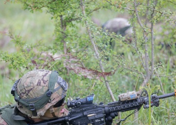 Exercise Immediate Response