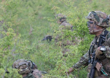 Exercise Immediate Response