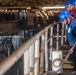 USS Harpers Ferry Conducts Well Deck Operations