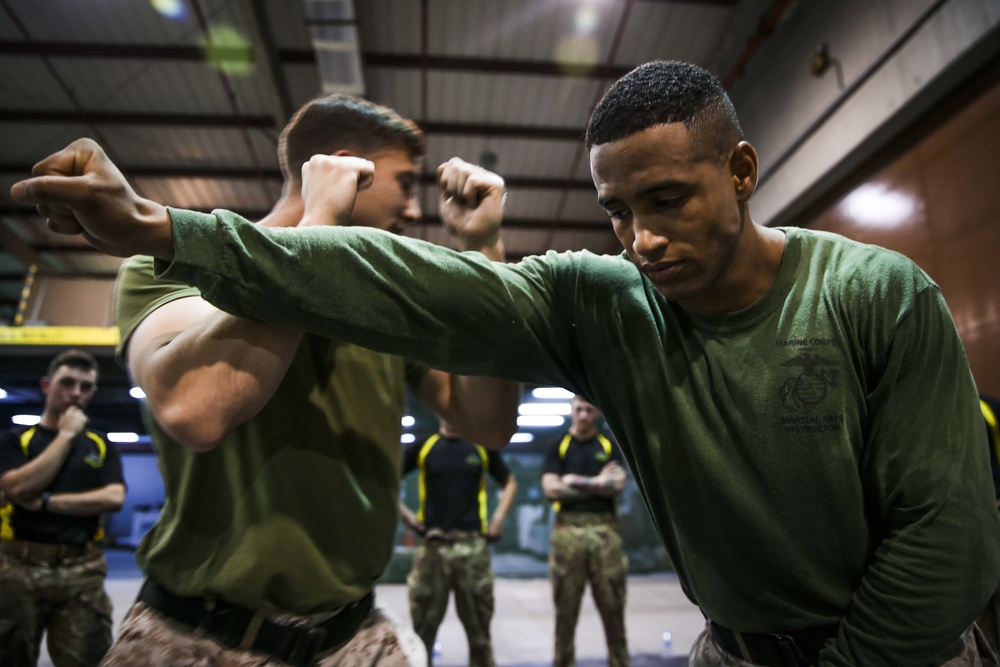 Introducing British Soldiers to the Marine Corps Martial Arts Program, Part Two