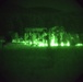 Immediate Response: night combat operation