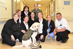 Project SERVE nursing student meet HM2 Sully