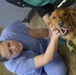 A nursing student gets to spend time with one of WRB's facility dogs