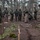 Marines Live-Fire in Arrow 19 Finland