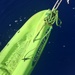 Coast Guard seeks helps to identify owner of adrift kayak off Olowalu, Maui