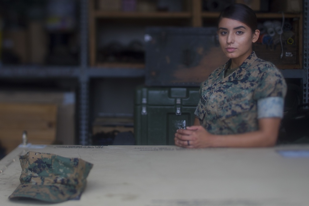 Meet the Marines of the 31st MEU