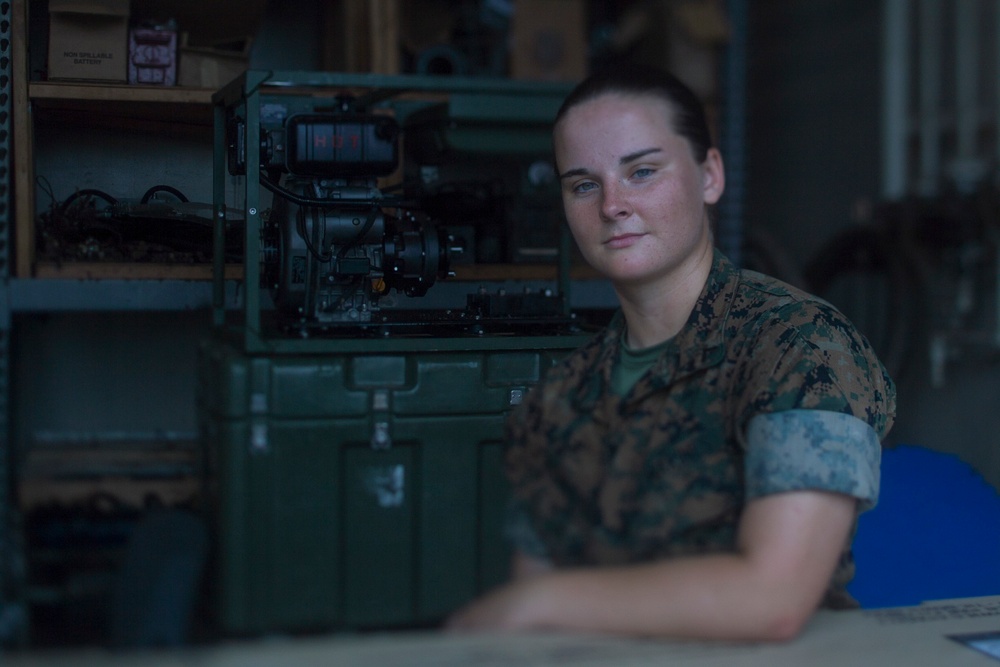 Meet the Marines of the 31st MEU