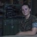 Meet the Marines of the 31st MEU