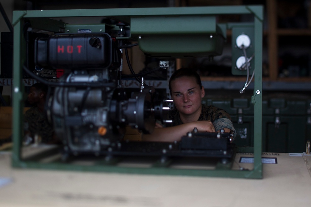 Meet the Marines of the 31st MEU