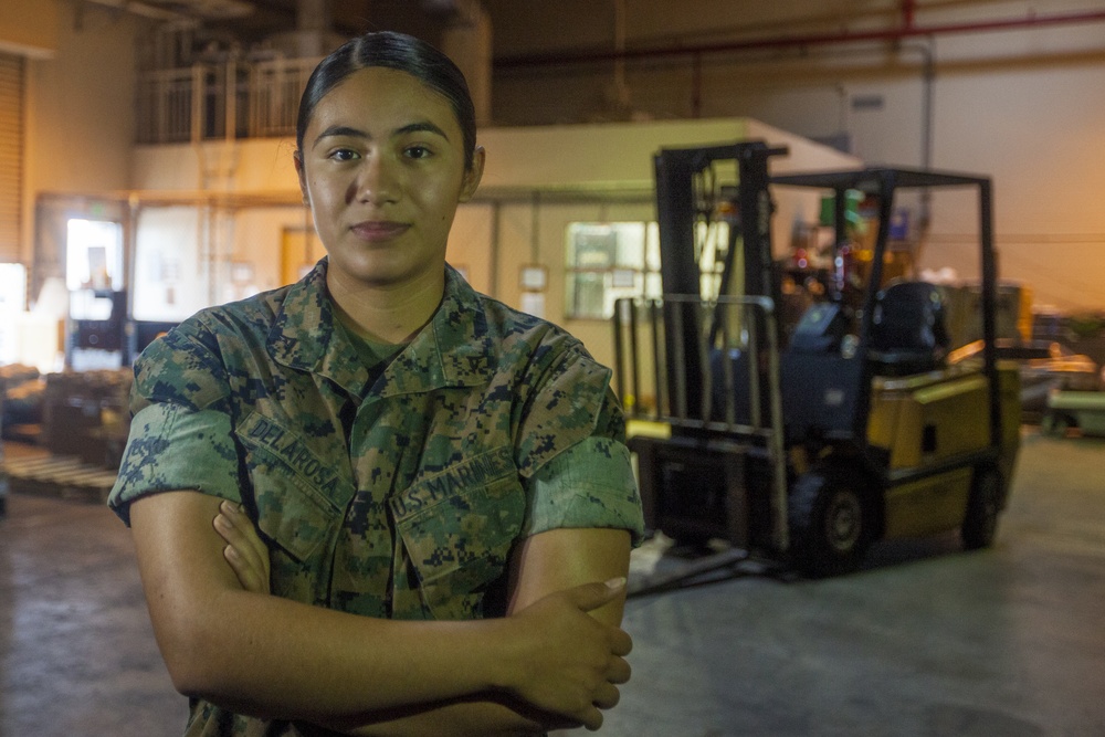 Meet the Marines of the 31st MEU