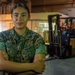 Meet the Marines of the 31st MEU