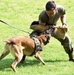 Military working dogs train at Camp Zama