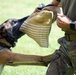 Military working dogs train at Camp Zama