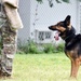 Military working dogs train at Camp Zama