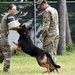 Military working dogs train at Camp Zama