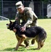 Military working dogs train at Camp Zama