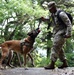 Military working dogs train at Camp Zama