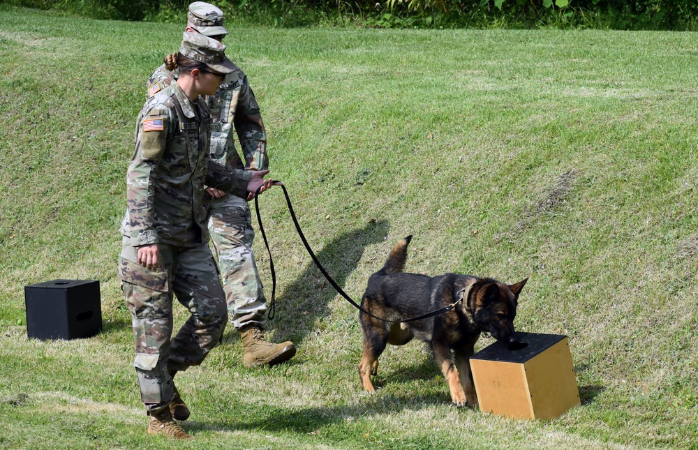 Military working dogs train at Camp Zama
