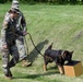 Military working dogs train at Camp Zama