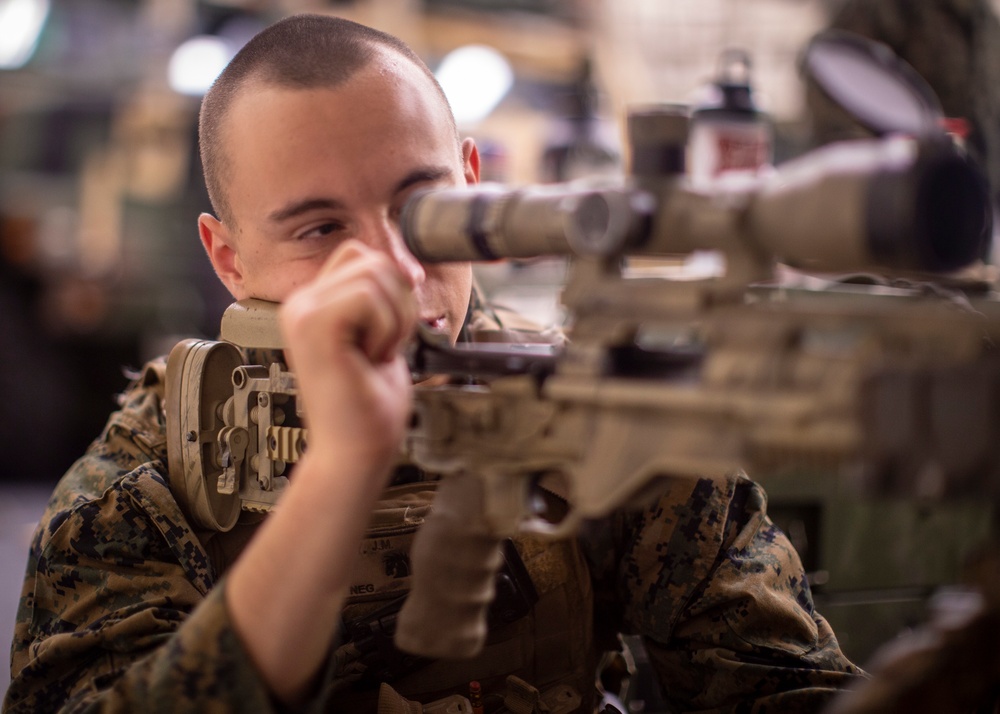 11th MEU Scout Sniper Dry-Fire
