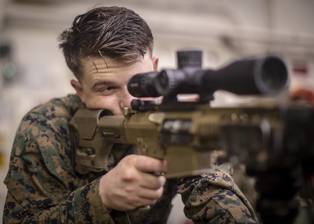 11th MEU Scout Sniper Dry-Fire