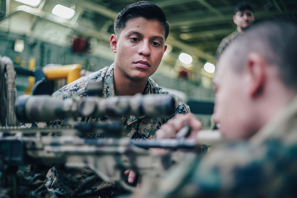11th MEU Scout Sniper Dry-Fire