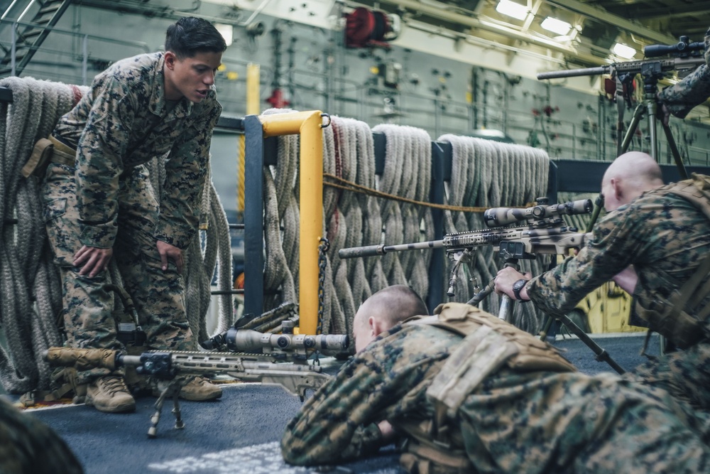 11th MEU Scout Sniper Dry-Fire