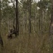 U.S. Marines conduct a squad attack