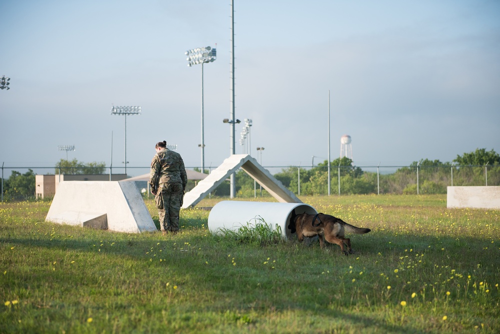 Peace Officers Memorial Day K9 Competition