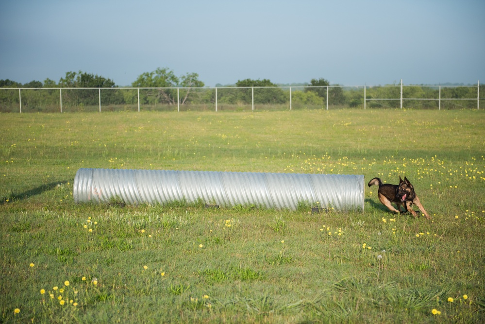 Peace Officers Memorial Day K9 Competition