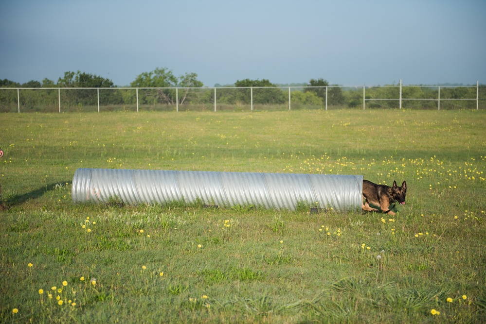 Peace Officers Memorial Day K9 Competition