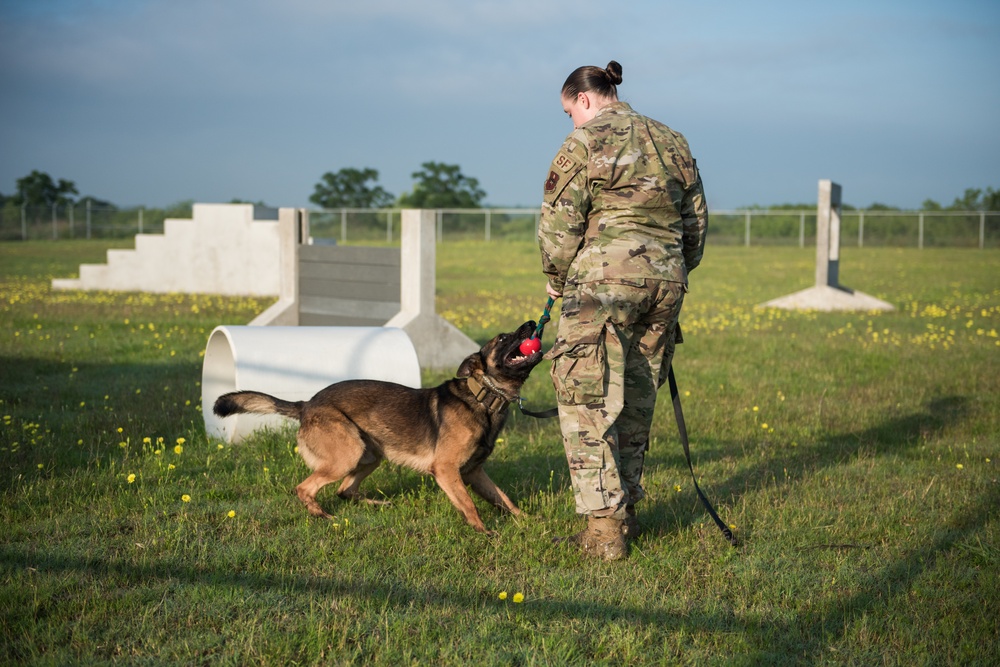 Peace Officers Memorial Day K9 Competition