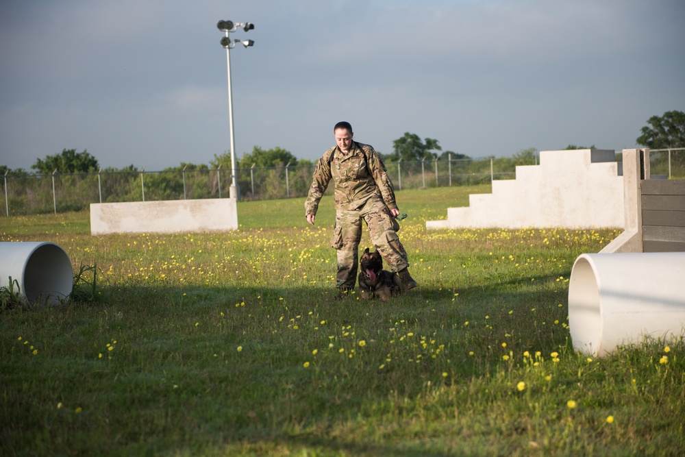 Peace Officers Memorial Day K9 Competition