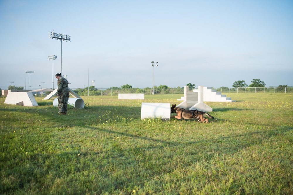 Peace Officers Memorial Day K9 Competition