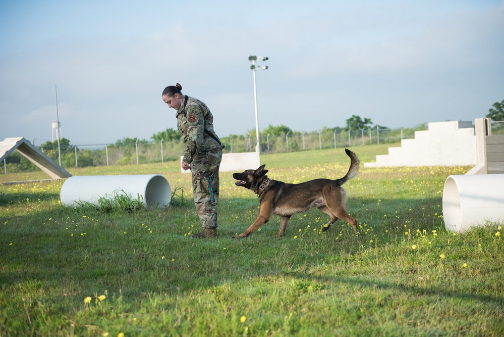 Peace Officers Memorial Day K9 Competition