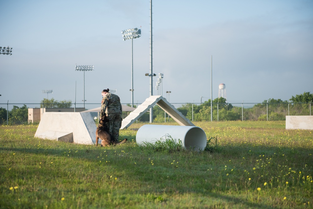 Peace Officers Memorial Day K9 Competition