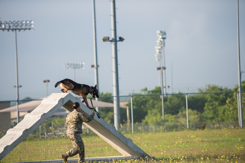 Peace Officers Memorial Day K9 Competition