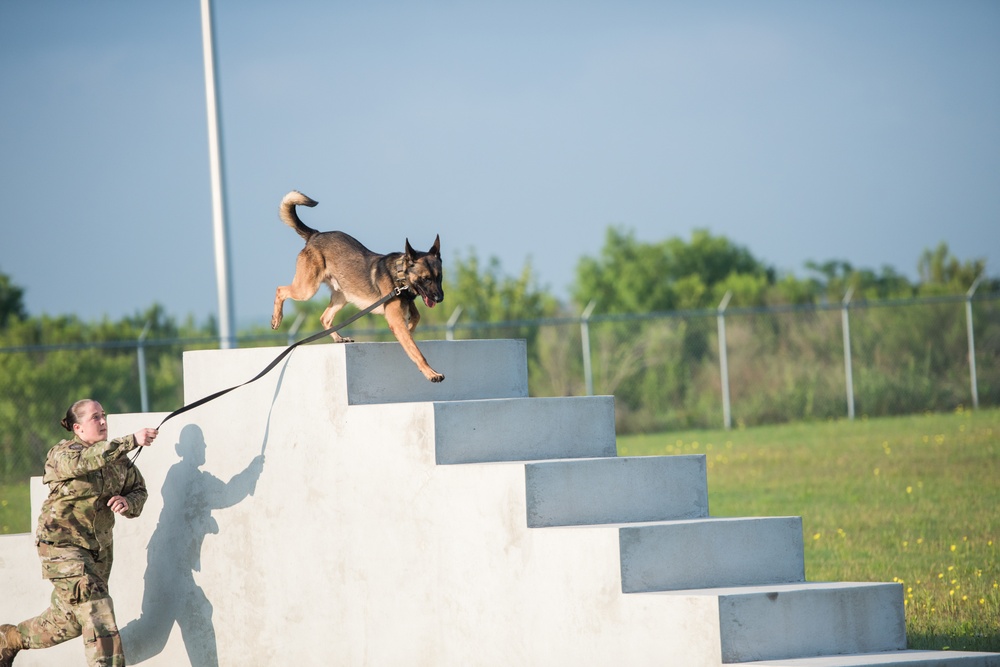 Peace Officers Memorial Day K9 Competition