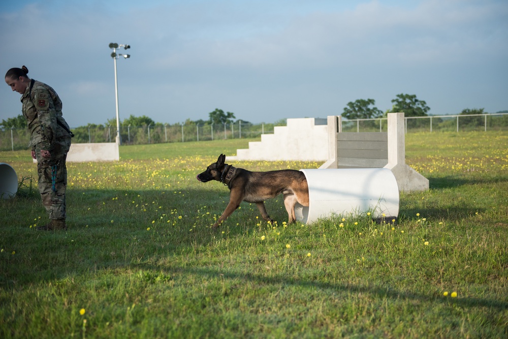 Peace Officers Memorial Day K9 Competition