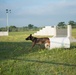 Peace Officers Memorial Day K9 Competition