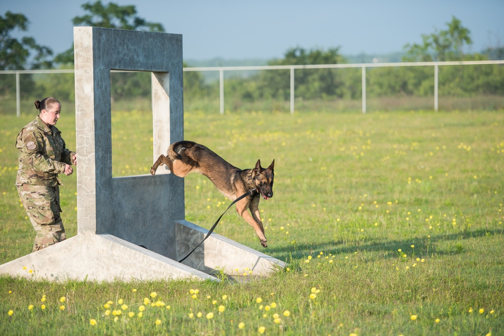 Peace Officers Memorial Day K9 Competition